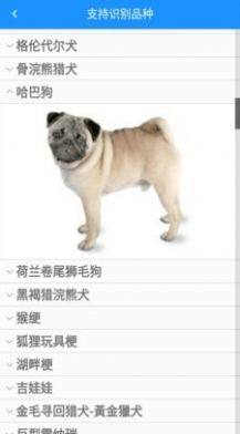 形色识物软件正式版app图片1