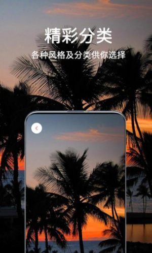 微言头像大全App正版安装包图片3