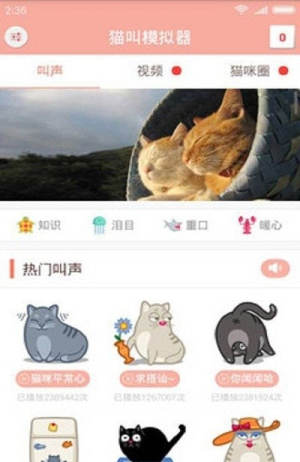 猫叫仿生器App正版安装包图片1