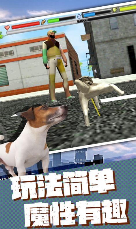 流浪狗生存模拟器游戏官方版安装包图片3