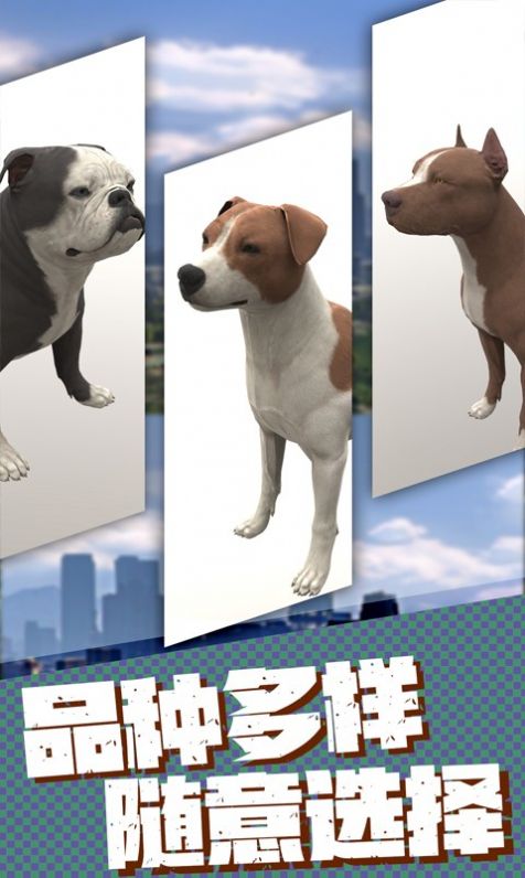 流浪狗生存模拟器游戏官方版安装包图片2