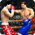 拳击明星冠军3D游戏安卓版 v2.5