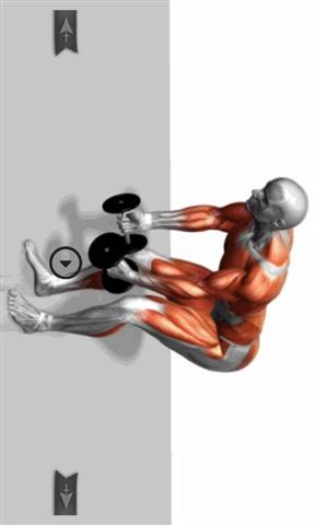肌肉锻炼指南app官方安卓版图片2