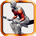 肌肉锻炼指南app