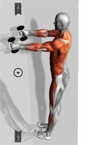 肌肉锻炼指南app官方安卓版图片3