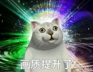 mur猫表情包高清无水印完整版图片3