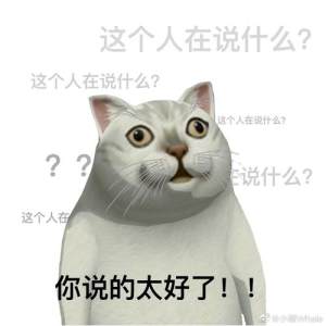 mur猫表情包高清无水印完整版图片1