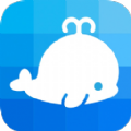 鲸鱼小班app官方版