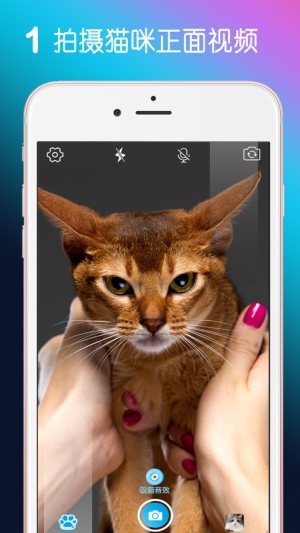 MiaowTalk猫嘴秀软件免费版图片1