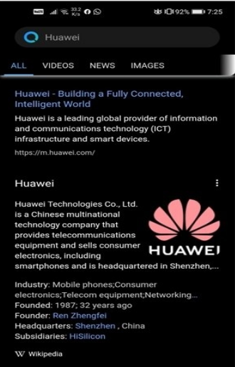HUAWEI Search app海外测试官网版图片1