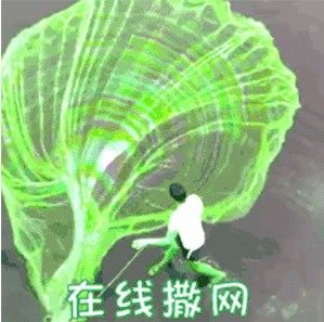 抖音在线撒网表情包gif动图高清无水印手机完整版图片2