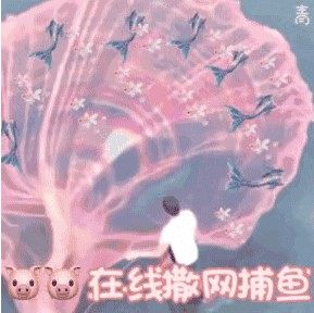 抖音在线撒网表情包gif动图高清无水印手机完整版图片3