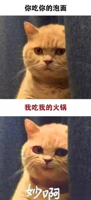 妙呀表情包高清无水印手机完整版图片2