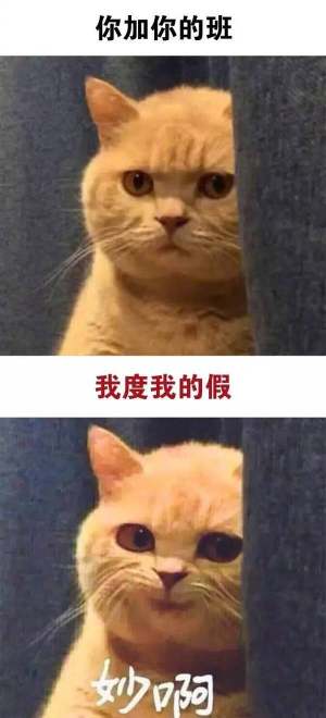 妙呀表情包高清无水印手机完整版图片1