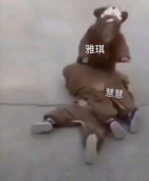 抖音三胞胎小公主表情包高清无水印手机完整版图片1