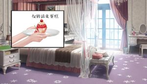 逐梦女子图鉴鲜花正版图片3