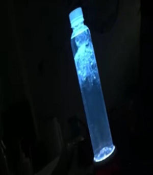 地球一小时手电筒水瓶灯接力游戏手机版图片3
