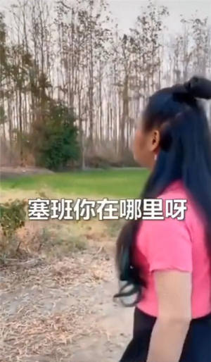 找塞班表情包大全高清无水印版图片3