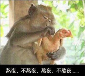 抖音如果我在熬夜我闺蜜就是狗表情包大全高清无水印手机免费版图片2