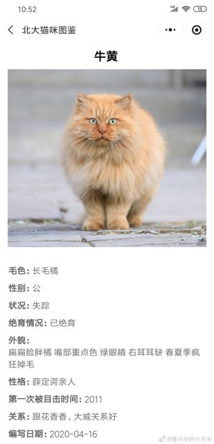 北大猫咪图鉴小程序app官方最新版图片2