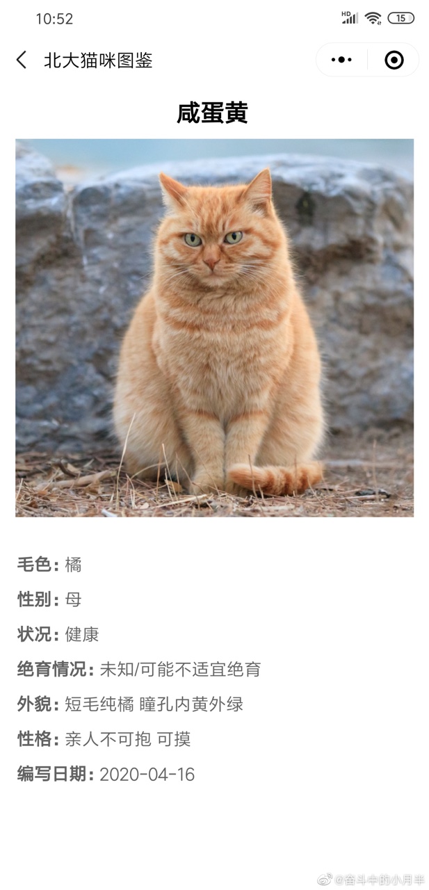 北大猫咪图鉴小程序app官方最新版图片3