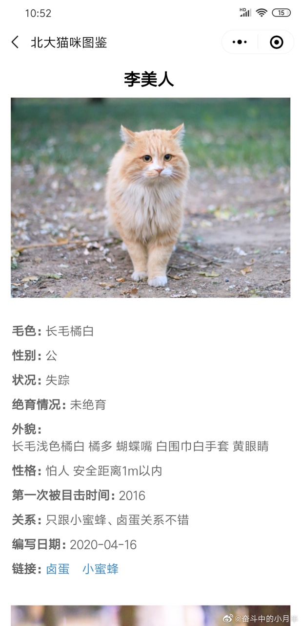 北大猫咪图鉴小程序app官方最新版图片1