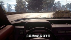 出狱网红模拟器游戏图片3