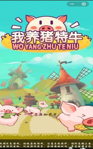 抖音我养猪特牛安卓版图片3