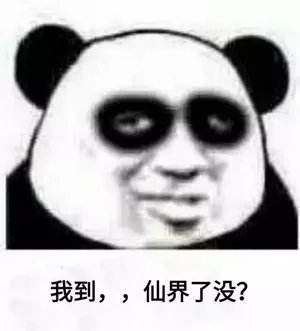 本人黑眼圈声明表情包大全高清无水印完整版图片2