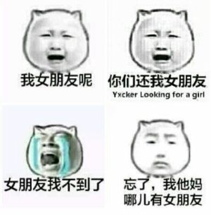 有了这个还要什么女朋友表情包高清无水印手机完整版图片2