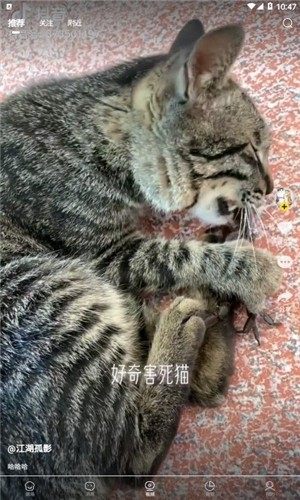 宠觅软件手机版图片2