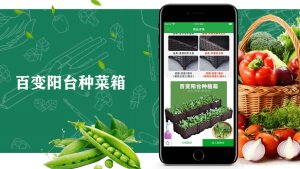 小小菜园app官方最新版图片2