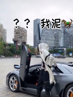 抖音2020最新求偶步伐表情包gif动图大全完整版免费分享图片2