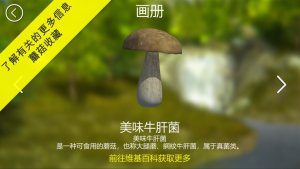 蘑菇猎人模拟器游戏官方最新版图片2