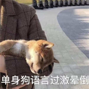 520单身狗微信朋友圈文案表情包高清无水印免费分享图片2