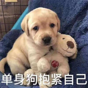 520单身狗微信朋友圈文案表情包高清无水印免费分享图片1