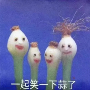 超火搞笑蒜了表情包图片高清无水印免费分享图片3