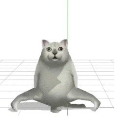 憨憨猫跳舞表情包gif图片大全高清无水印分享图片1