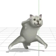 憨憨猫跳舞表情包gif图片大全高清无水印分享图片2