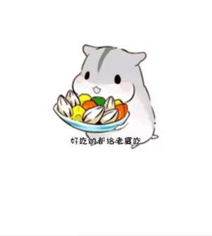 抖音仓鼠情侣表情包大全可爱原图高清无水印完整版分享图片3
