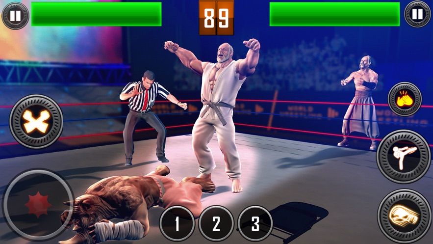 真实摔跤对战2020游戏中文版图片2