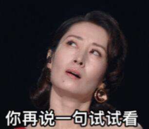 刘敏涛唱歌表情管理失控表情包图片高清无水印手机版图片2