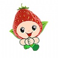 草莓叮咚ios安卓版