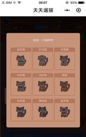 微信天天遛猫小程序游戏红包官方福利版图片3