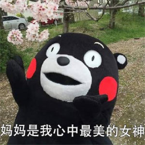 2020抖音最火母亲节表情包图片高清无水印完整版图片1