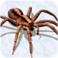 蜘蛛繁殖地模拟器游戏