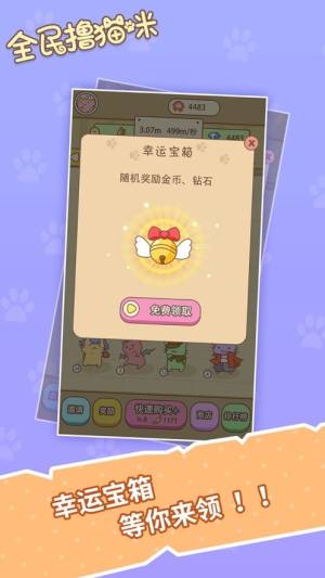 全民撸猫咪安卓赚金福利版图片2
