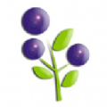 蓝莓资讯app官方版 v1.40