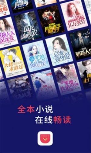 袋袋小说app安卓版图片3