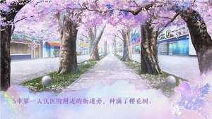 橙光少女进化论安卓版鲜花完整版图片2